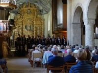 Freundschaftskonzert Brahms-Festival 2019