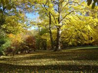 Herbstimmung im Park