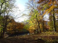 Blick über den Schlossteich