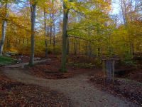 freigelegter historischer Parkweg